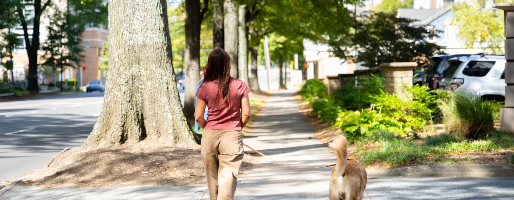 Settle into comfort at Overlook Radius Dilworth